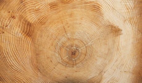 OLG Stuttgart: Nachehelicher Unterhalt erstmals nach Jahren; neue Lebensbedingungen