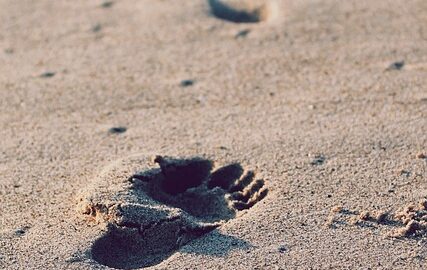 OLG Thüringen: Verwirkung titulierter Kindesunterhaltsansprüche