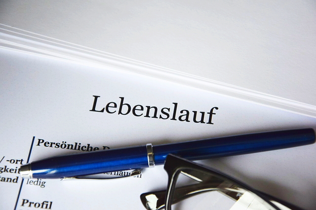 OLG Brandenburg: Fiktives Einkommen, Anforderungen an Bewerbungen