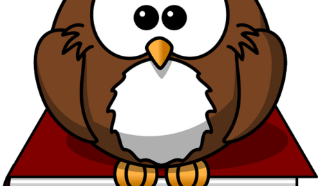 BGH: Erschöpfende Sachaufklärung bei Sorgerechtsentziehung