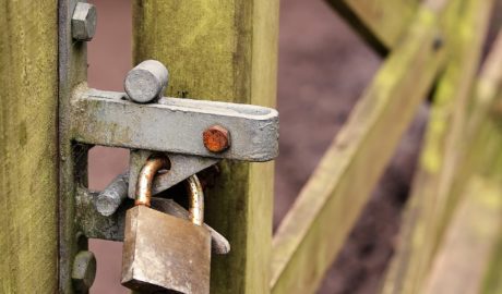 BVerfG: Ausschluss des Umgangs zwischen Eltern und in Pflegefamilie untergebrachtem Kind