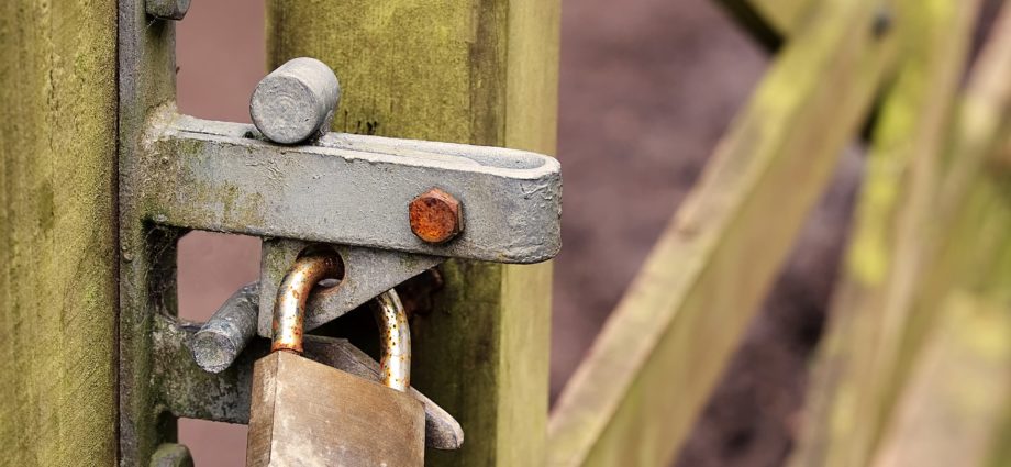 BVerfG: Ausschluss des Umgangs zwischen Eltern und in Pflegefamilie untergebrachtem Kind