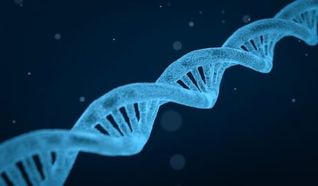 BGH: Vertretungsrecht bei Vaterschaftsfeststellung